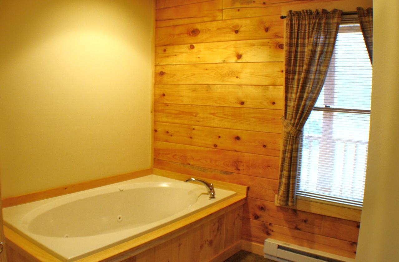 The Old Tioga Inn Bed And Breakfast Fairmount Springs 部屋 写真